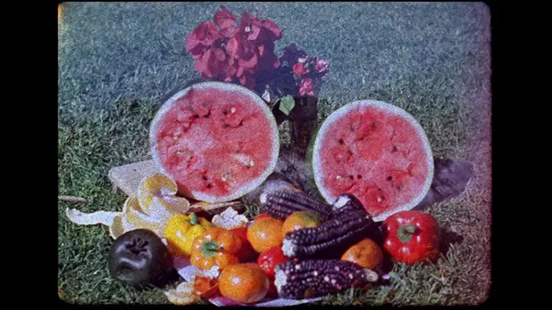 artium-museoak-2026ko-urteko-programazioa-aurkeztu-du