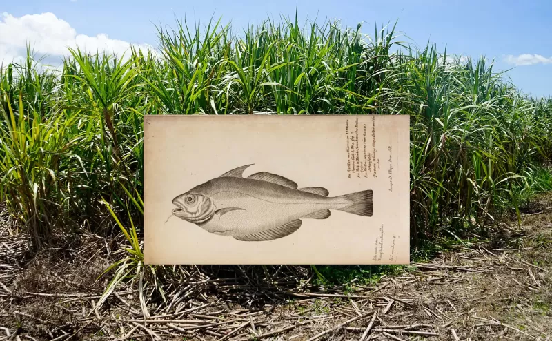 mikel-otxotekok-parte-hartuko-du-2023ko-artea-abian-programan