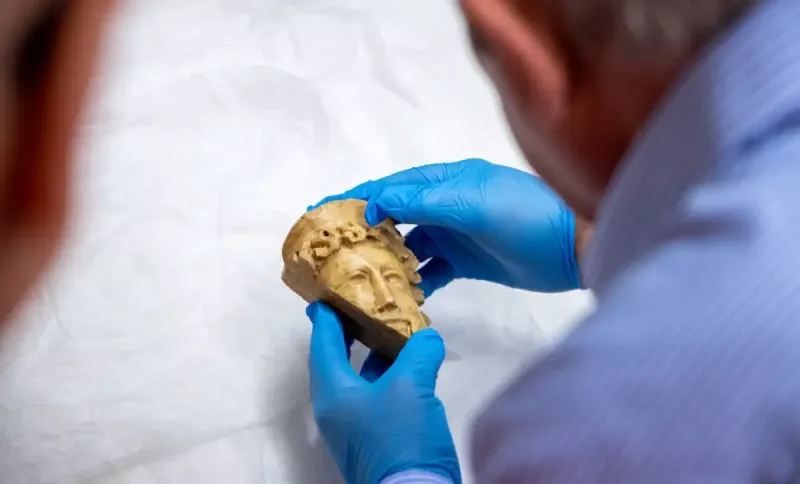 lapurturiko-bakoren-burua-laster-izango-da-jendaurrean-ikusgai