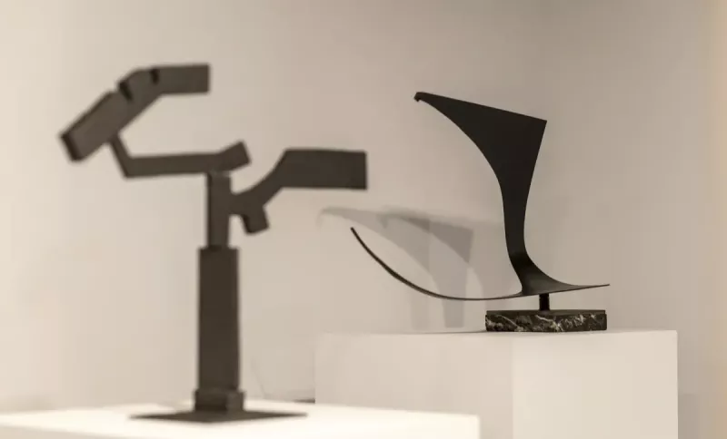 basterretxearen-zeinua-eskultura-oteizaren-esekidura-hutsa-piezaren-ondoan-oteiza-museoa