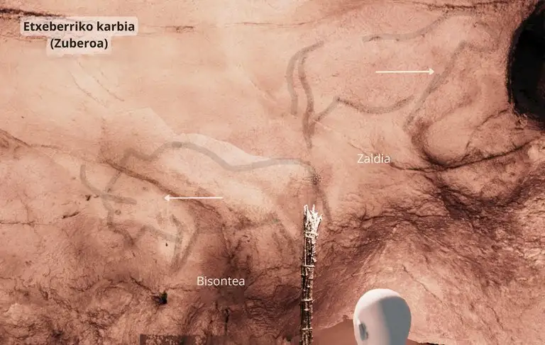 historiaurreko-pinturetako-animaliak-patroi-baten-arabera-antolatuta-daude