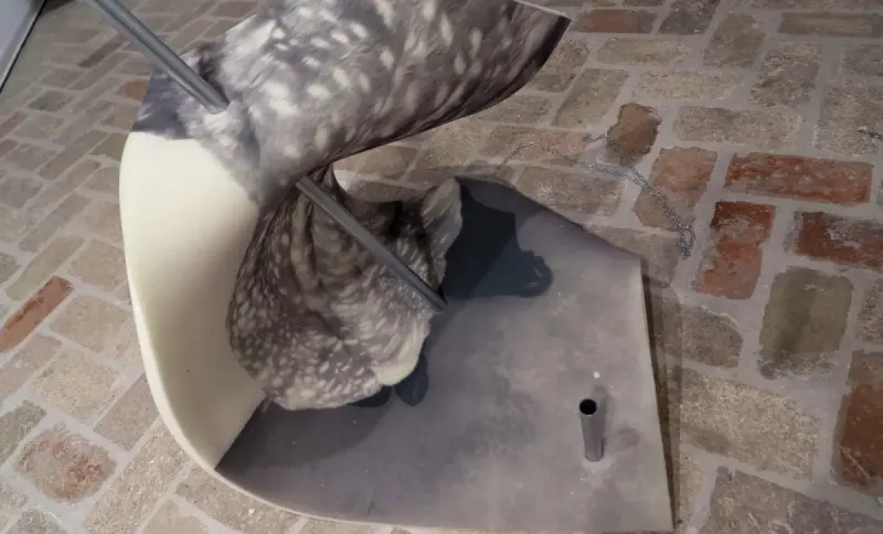 muga-bigunen-testurak