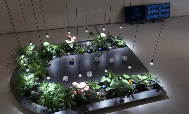 topaketen-dardara-artistikoa-iraunaraztea