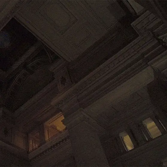 artium-museoak-alex-reynolds-en-i-palais-i-2020-bideoa-aurkezten-du-museoko-bildumarako-berriki-erositako-lana