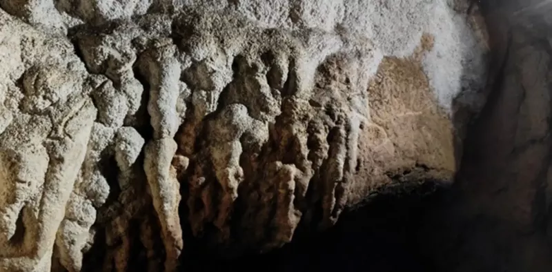 mendaroko-santakutze-kobazuloan-paleolitoko-zenbait-grabatu-aurkitu-dituzte