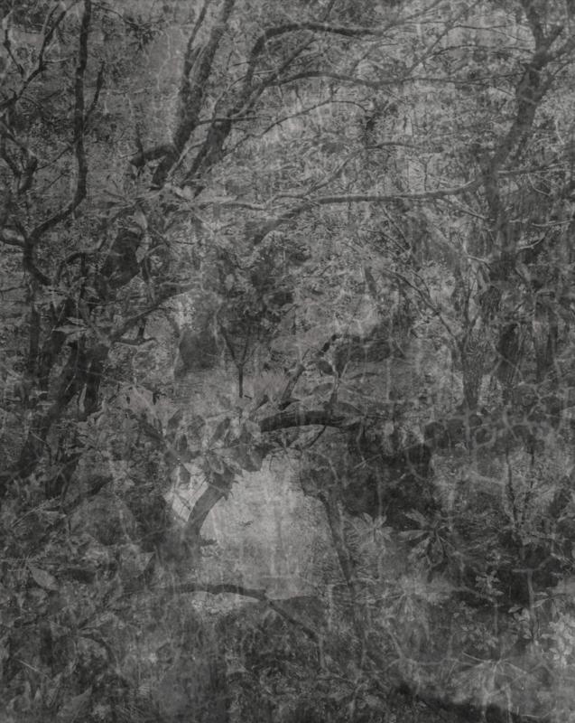 wang-juyan-xian-guan-iv-2016