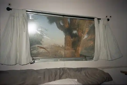 the-seasoned-baby-scholar