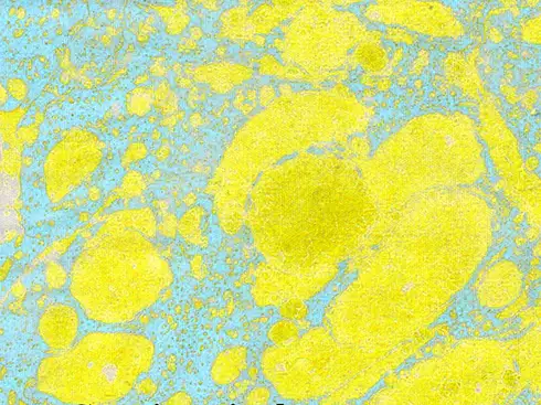 de-la-coleccion-no-se-vuelve