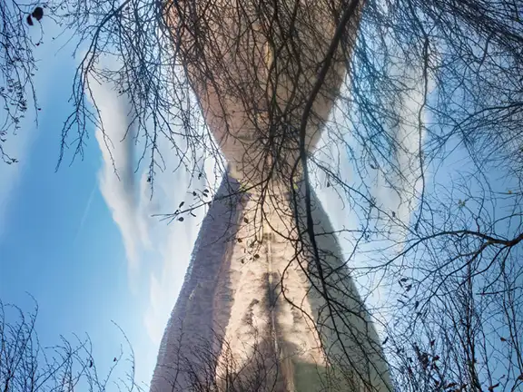 mari-lamiak-eta-basoaren-aztarnak