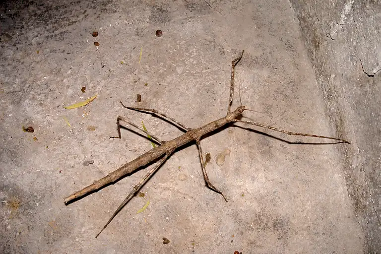 egun-bakoitzean-eta-egun-gehiago-bakoitzean