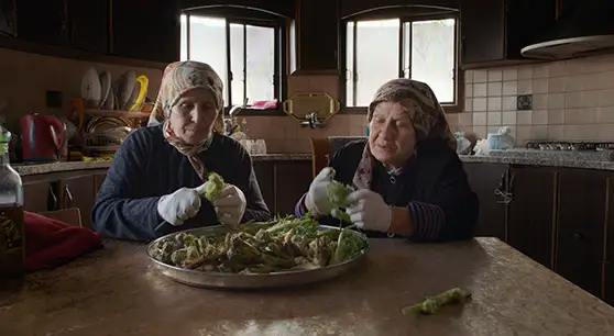 foragers