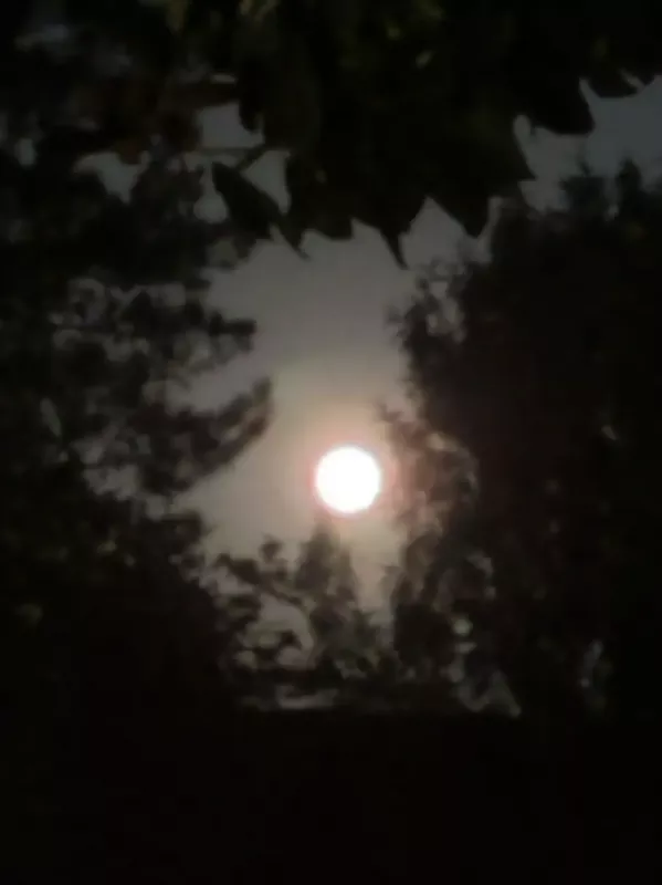 ilargi-poemak-moon-poem