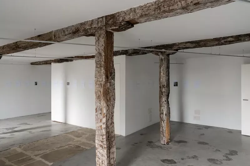 martxoa-pentsamentuek-eusten-diote