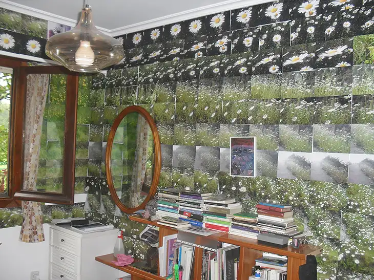 strong-back-soft-front